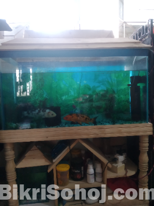 Aquarium sale